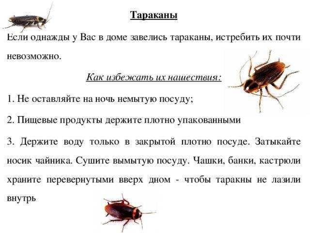 У меня никогда не было хлебницы так как всю жизнь я слышала про тараканов про то что она занимает много места Сейчас я храню хлеб в специальных пакетах но вижу столько красивых хлебниц что возникает вопрос может и не так все страшно