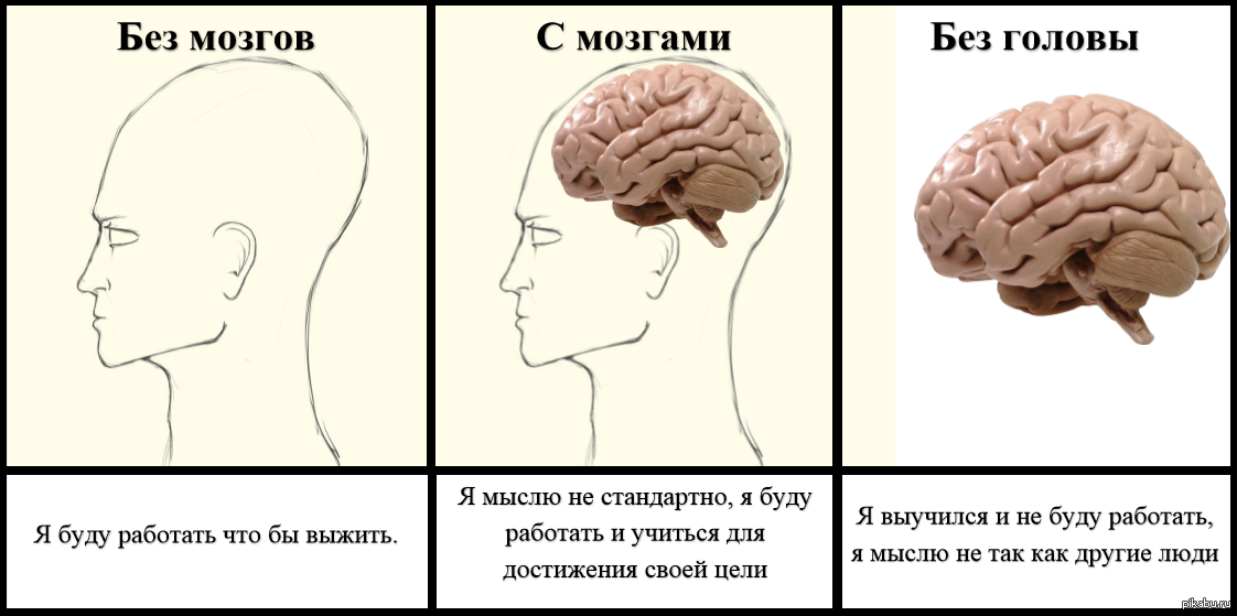 Импульс симметрии: почему и как мы стремимся к симметрии - международное обозрение