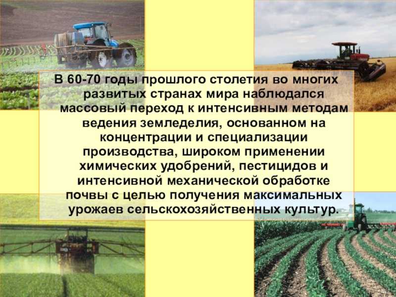 Нужно ли перекапывать огород под зиму: сроки, какие удобрения вносить