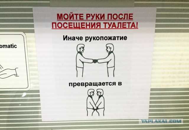 Почему мы должны закрывать дверь туалета после того, как выйдем из него? - ноутбуки и телефоны
