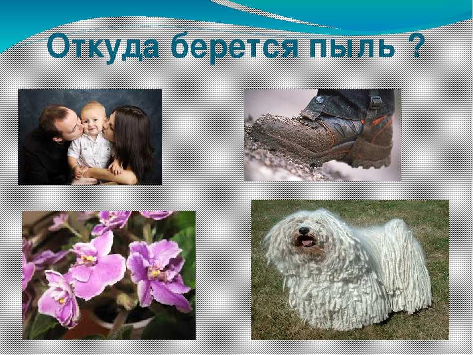 Домашняя пыль: откуда берется пыль в квартире, состав, методы очистки воздуха, системы обеспыливания