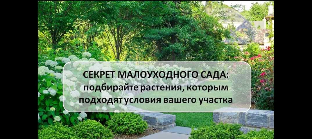 Малоуходный сад: как создать своими руками. советы дизайнера