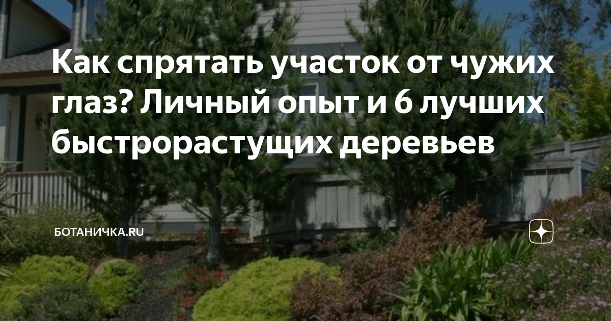Как отгородиться от соседей на даче. что посадить на даче вдоль забора, чтобы закрыться от соседей - топ 5 растений | идеи дизайна интерьера