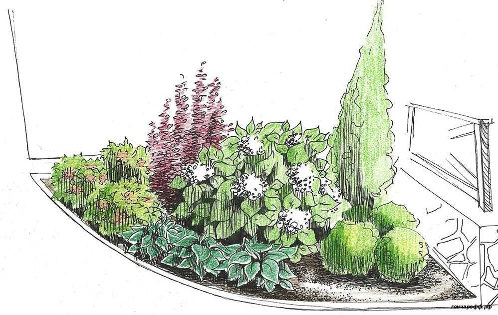 Самые красивые схемы клумб из многолетних цветов и кустарников