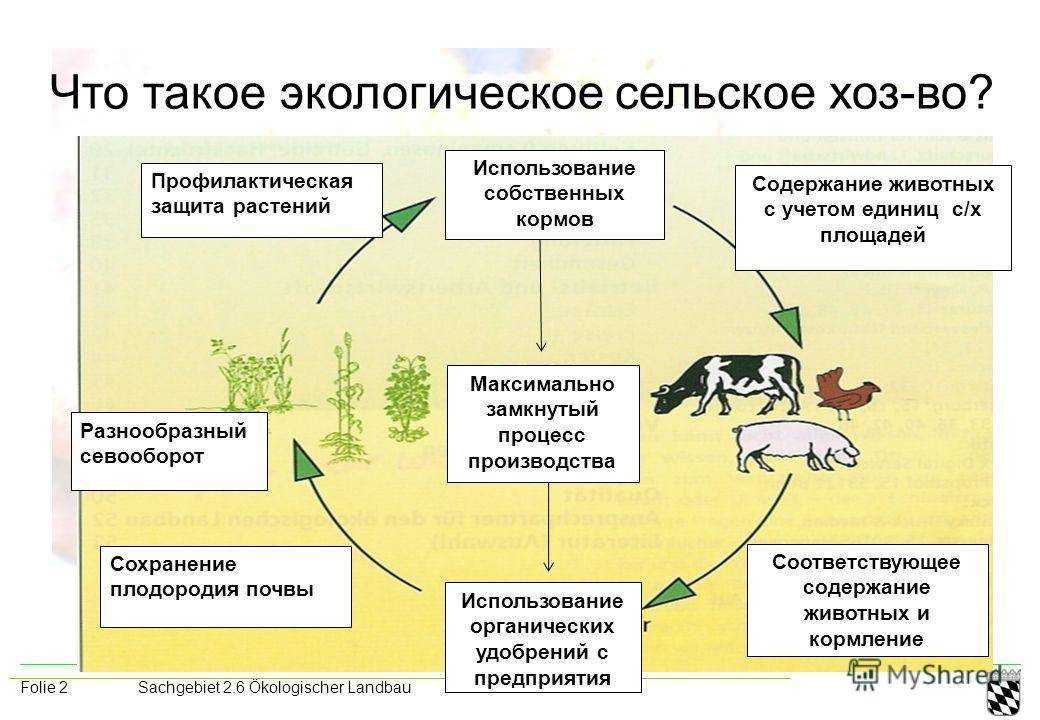 Как подготовить землю осенью к весне, способы оздоровления и восстановления, с чем перекапывать грядки после сбора урожая