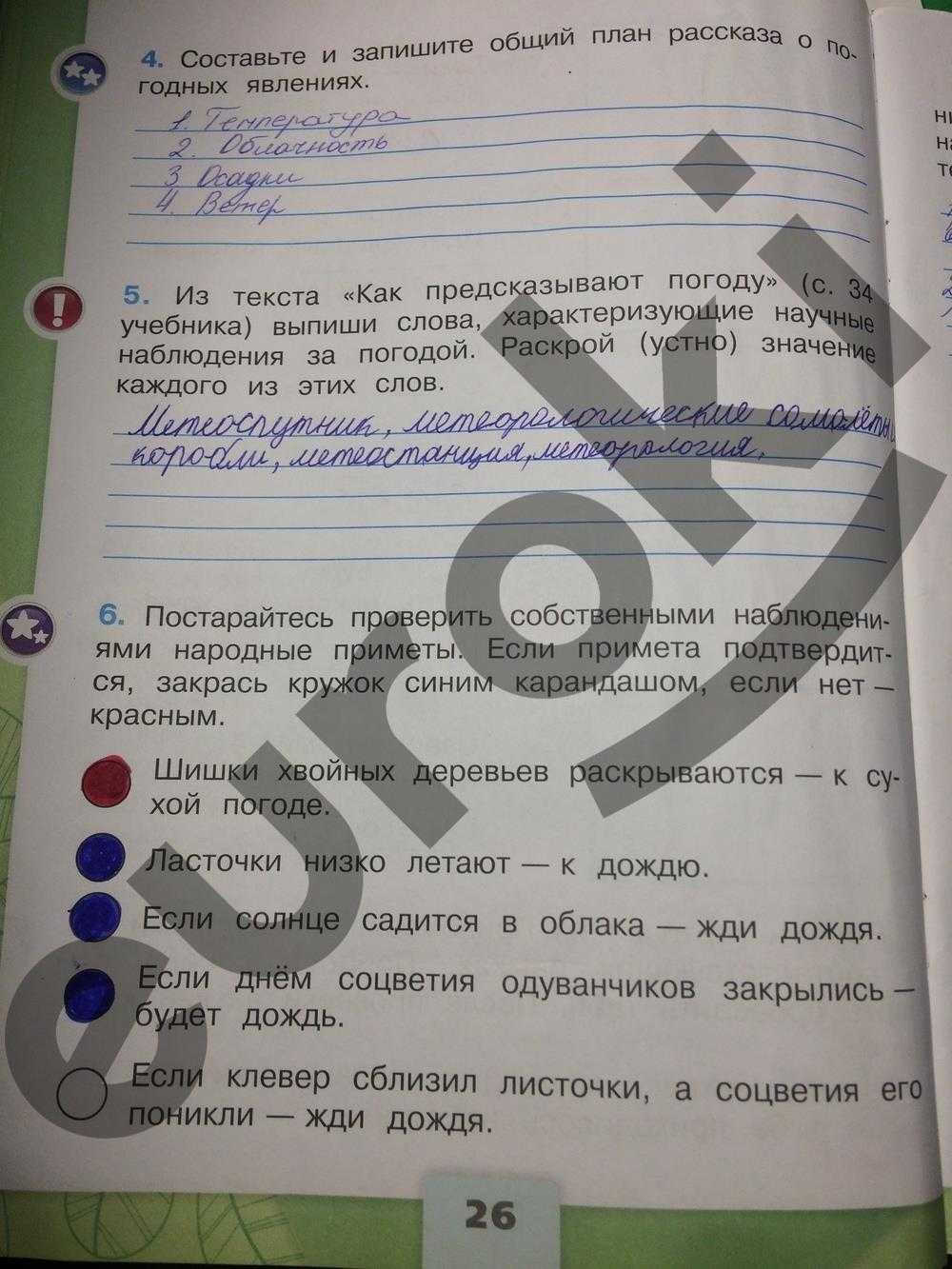 Фотообои с цветами в интерьере: особенности подбора, фото