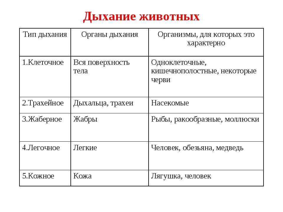 Каждое растение имеет свои особенности и позволяет решать разные задачи