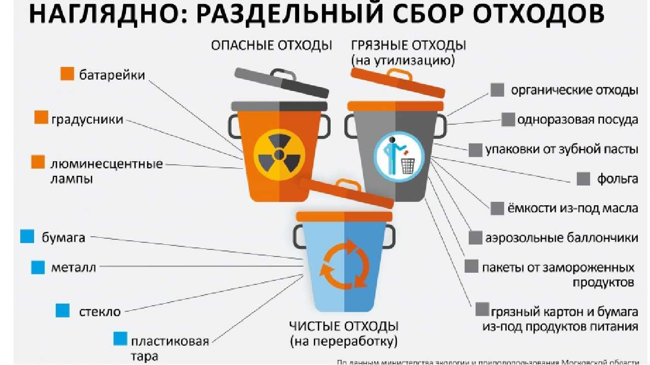 Как вести экологичный образ жизни: 7 лучших способов