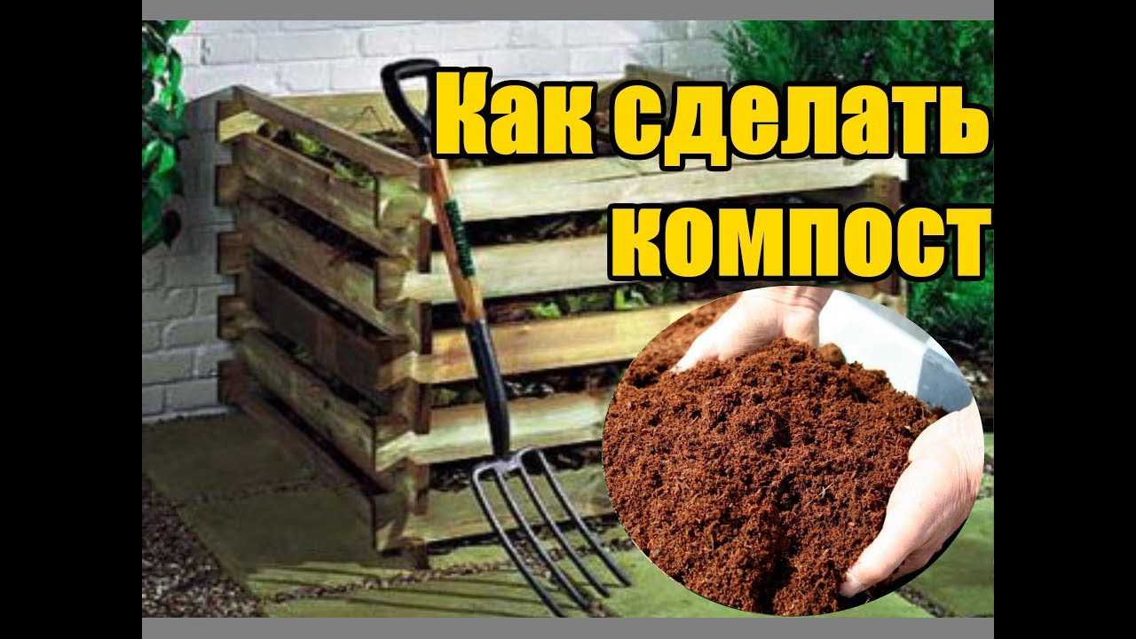 Как сделать правильный компост?