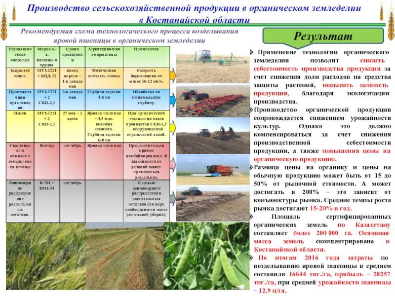 Зачем рыхлить почву: как рыхлить, вокруг растений, в горшках