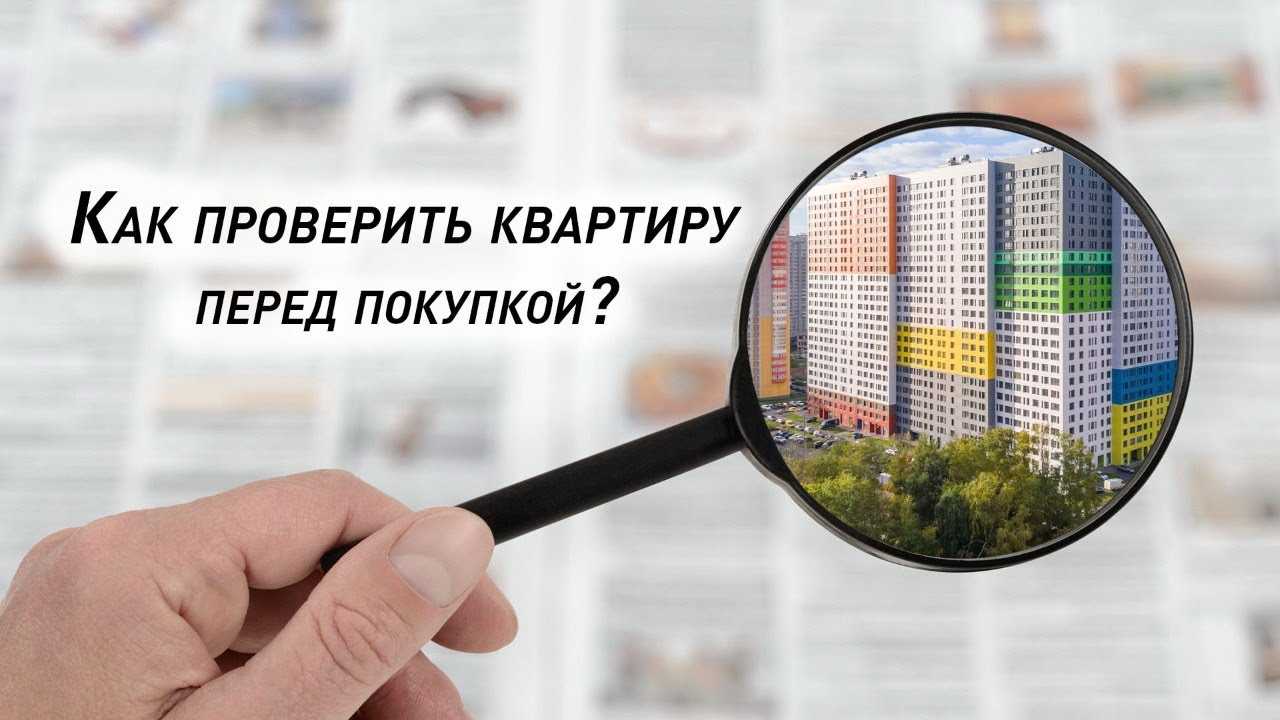 Трещины под штукатуркой и плесень в подвале: как качественно проверить дом перед покупкой - читайте в разделе учебник