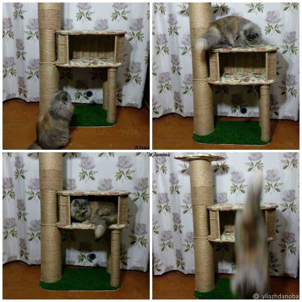 😻 как сделать своими руками домик для кошки за 15 минут: лучшие мастер-классы с инструкциями