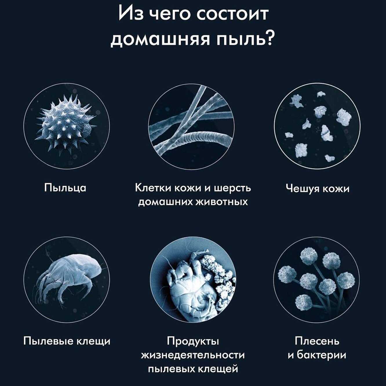 Чем опасна пыль — почему важно вовремя убираться