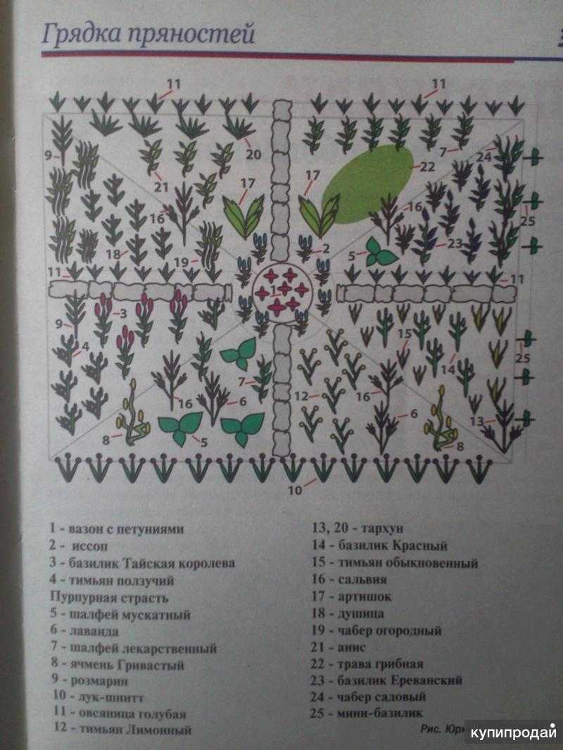 10 причин завести дневник дачника
