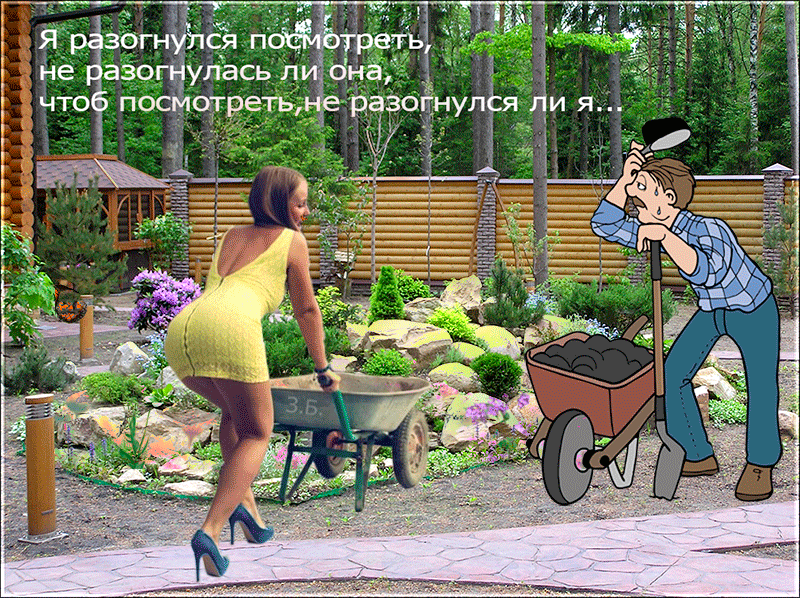 Какие растения лучше посадить в кашпо на дачном участке?