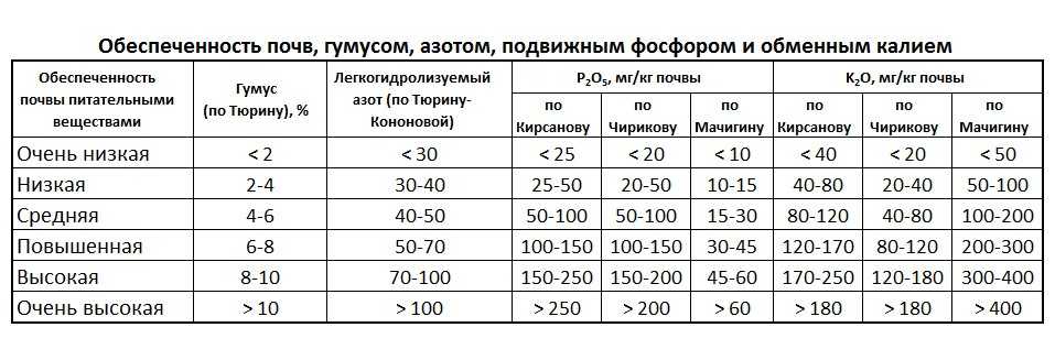 Когда перекапывать огород под зиму. а нужно ли копать огород? | здоровье человека