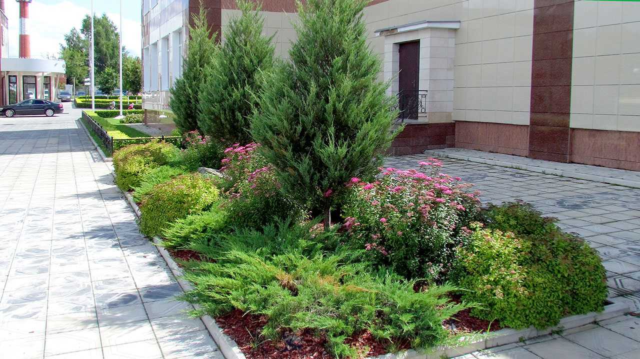 Особенности ландшафтного дизайна двора