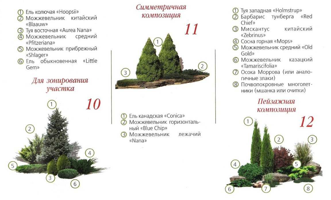 Современные тенденции в ландшафтном дизайне. florets.ru