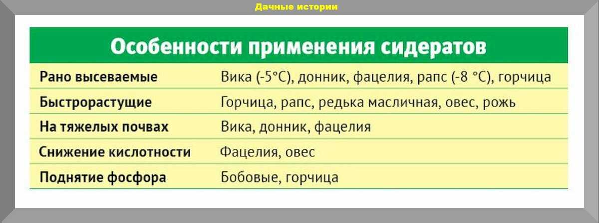 Сидераты: что это такое, какие лучше сеять весной и осенью