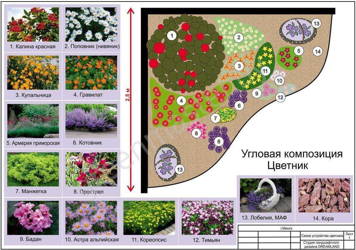 Цветники. схемы устройства цветников.