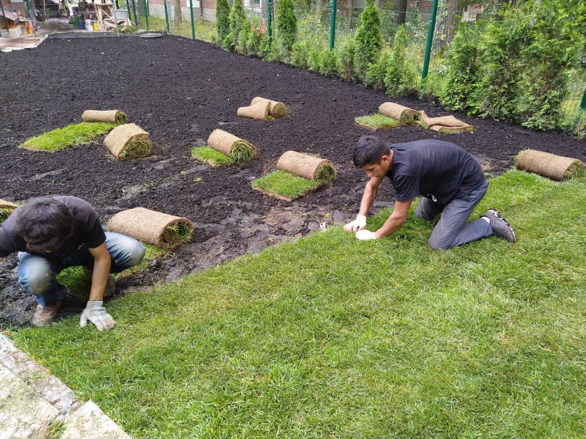 Экологический стиль ландшафтного дизайна — жизнь в гармонии с природой