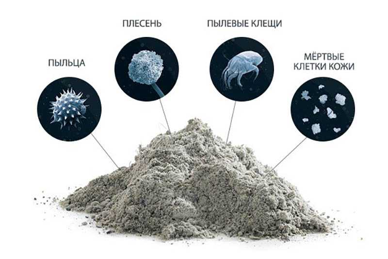 Откуда берется пыль в квартире и как с ней бороться