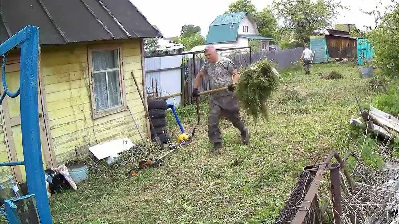 Как привести в порядок участок, который зарос дерном