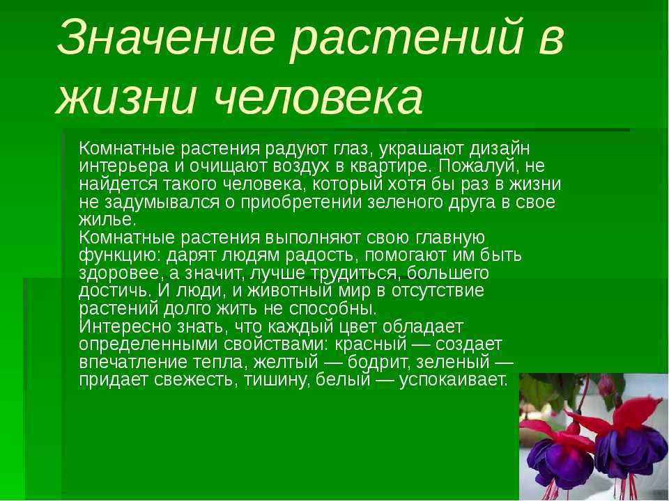 Освещение для растений: по каким параметрам выбрать лампу