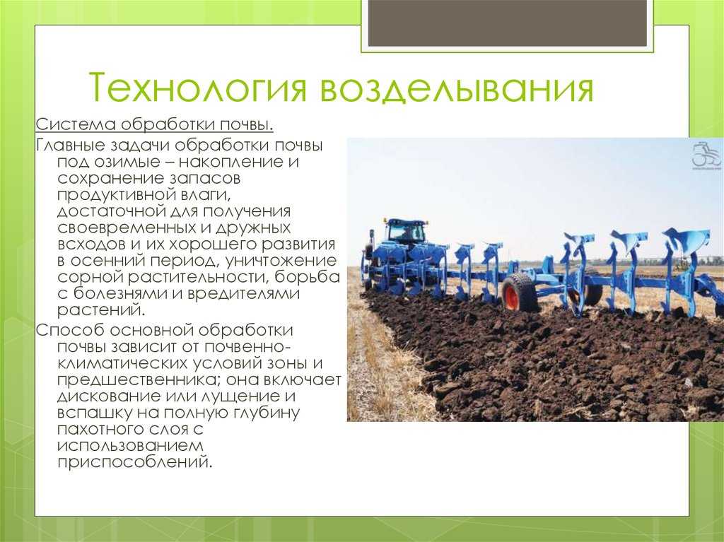 Удобрения осенью под перекопку – какие и как вносить