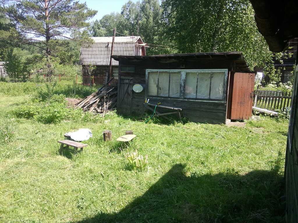 Как очистить заброшенный участок. "девственный" участок: осваиваем шаг за шагом