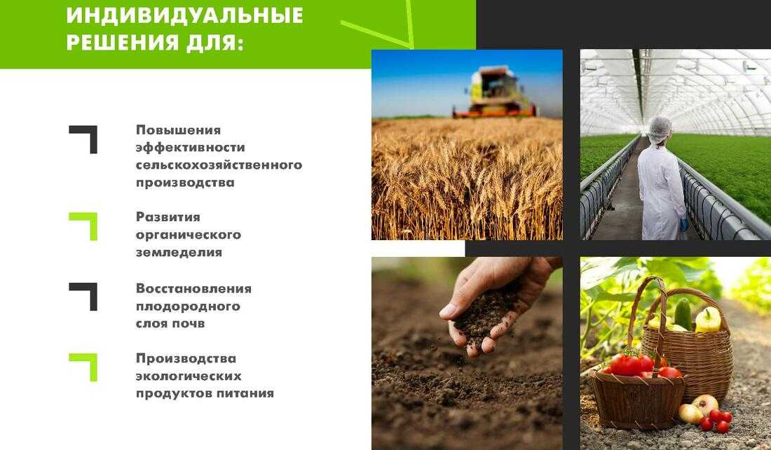 Нужно ли перекапывать землю? [ответ эксперта]