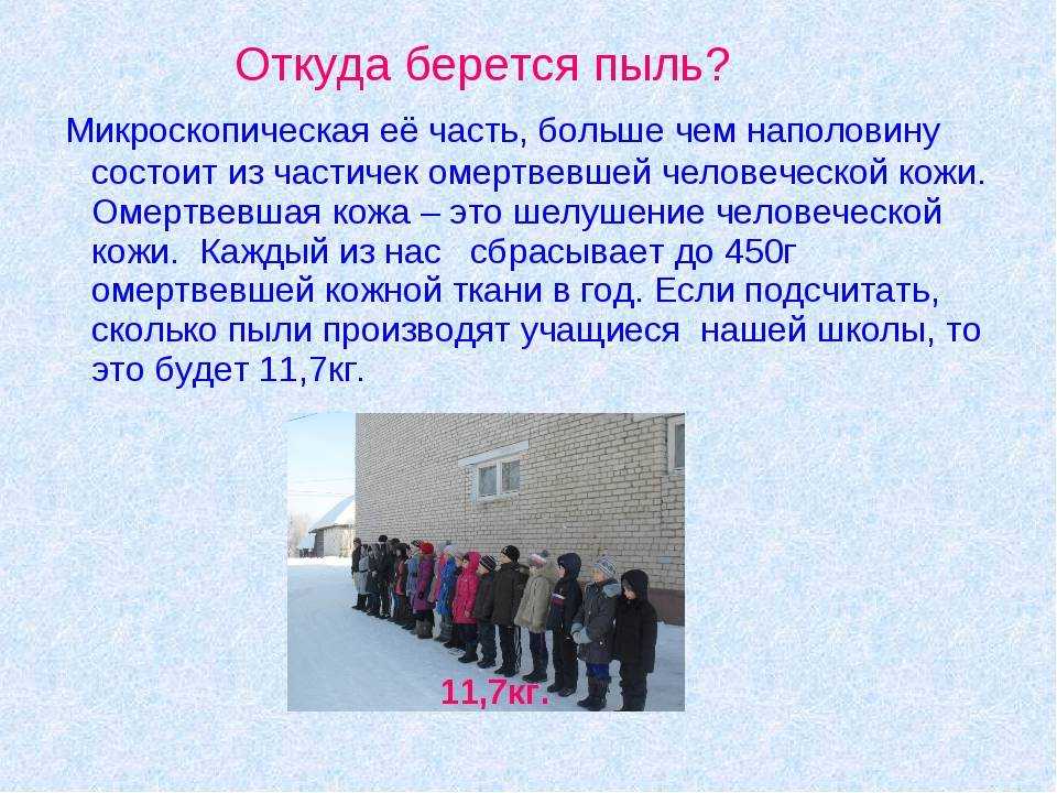 Из чего состоит пыль: источники возникновения пыли в квартире, польза и вред пыли