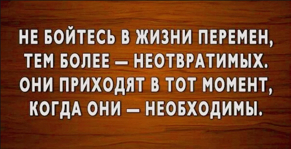 Как негативные отзывы влияют на продвижение | статьи seonews