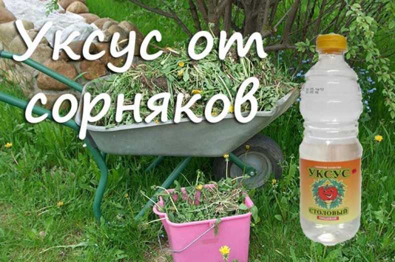 Укрывной материал от сорняков: виды покрытия и как правильно использовать