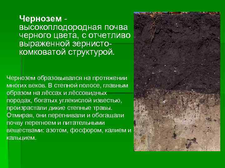 Каким должен быть настоящий чернозем и что это такое?