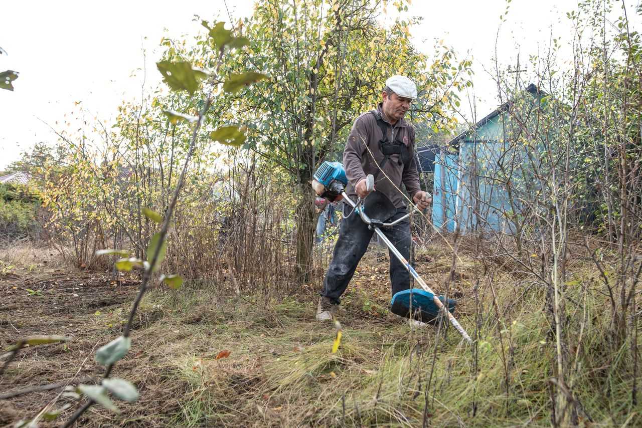 Уборка дачного участка от мусора – важные советы