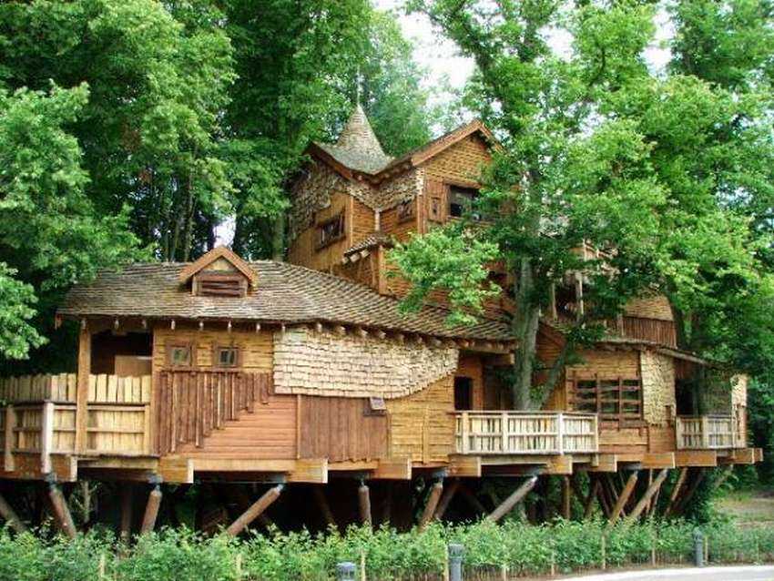 Растения в доме: фитодизайн в интерьере, композиции и виды с фото