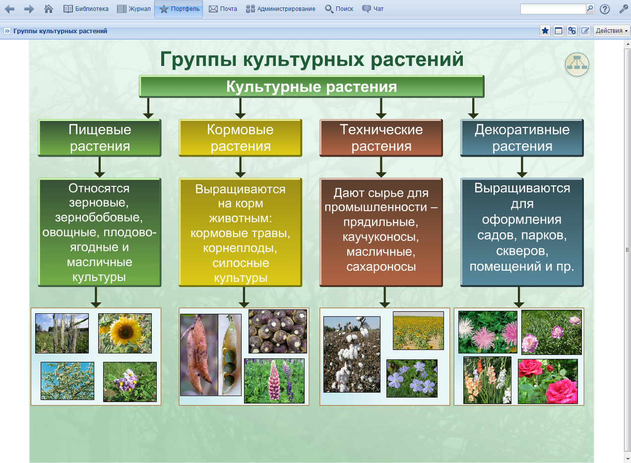 Выбор места под сад: рельеф, грунтовые воды, почва, климат
