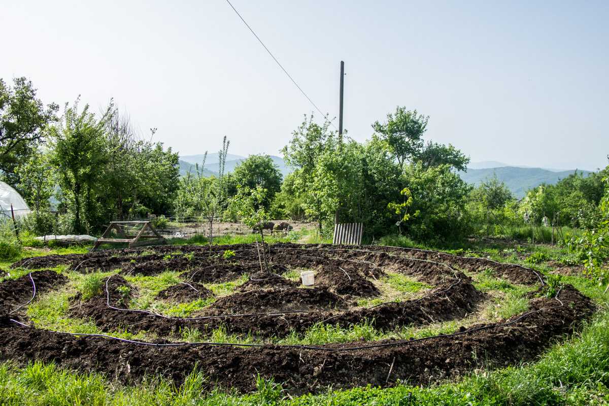 Зепп хольцер: как получать органические продукты круглый год