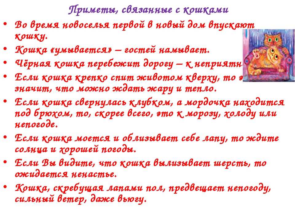 Какие вещи во время переезда 🚙 необходимо взять обязательно с собой, а какие оставляют