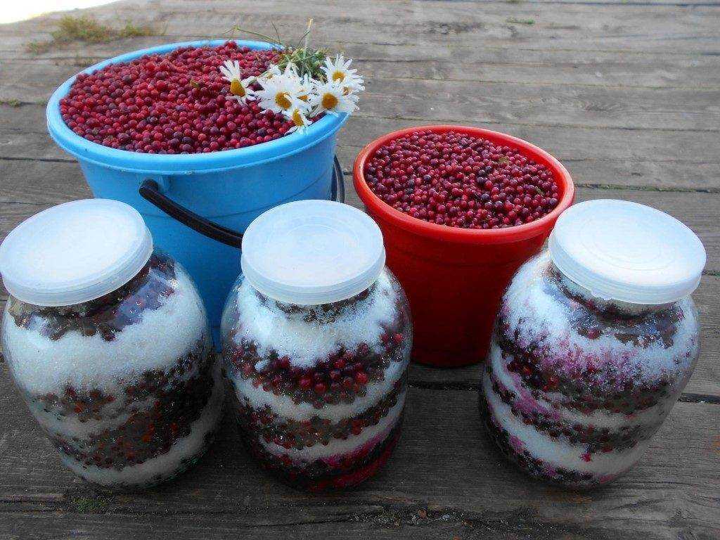 Розы в кулинарии рецепты