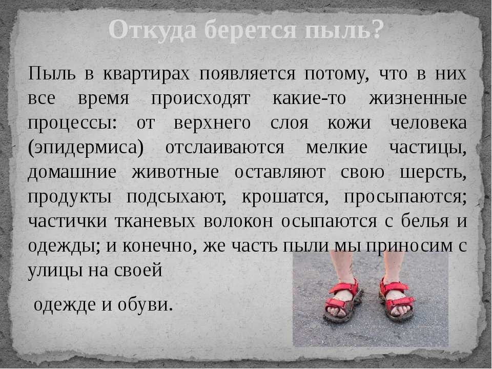 Что такое пыль и откуда она берется?