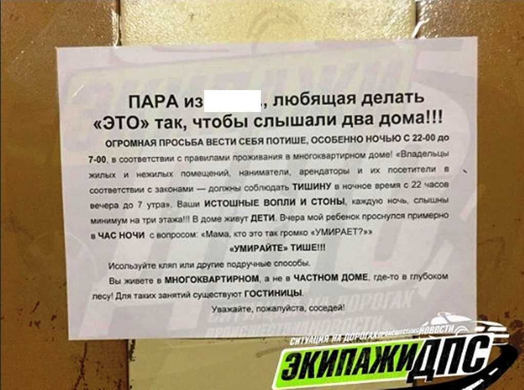 Как себя вести и ужиться с соседями