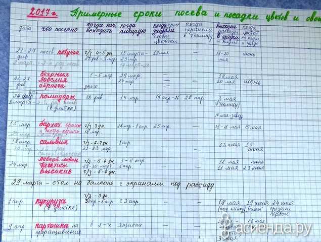 .топ 7 советов садоводам и огородникам