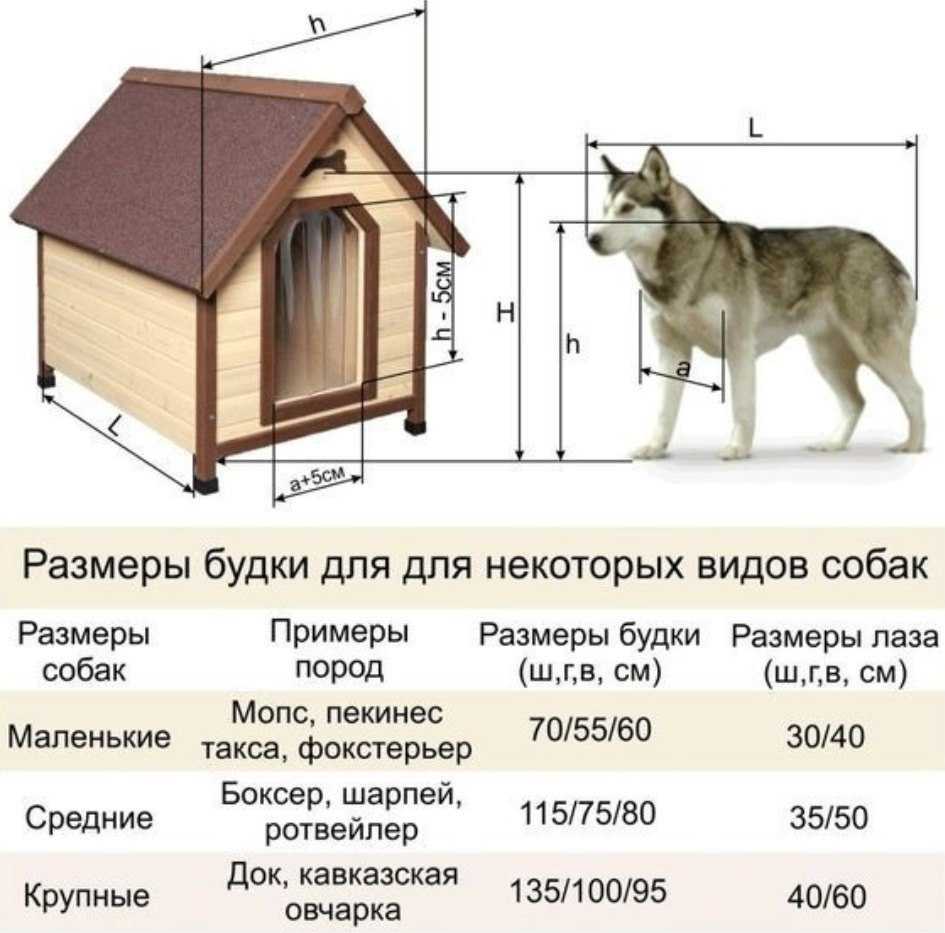 Как иван дыркин построил купольный дом в сибири