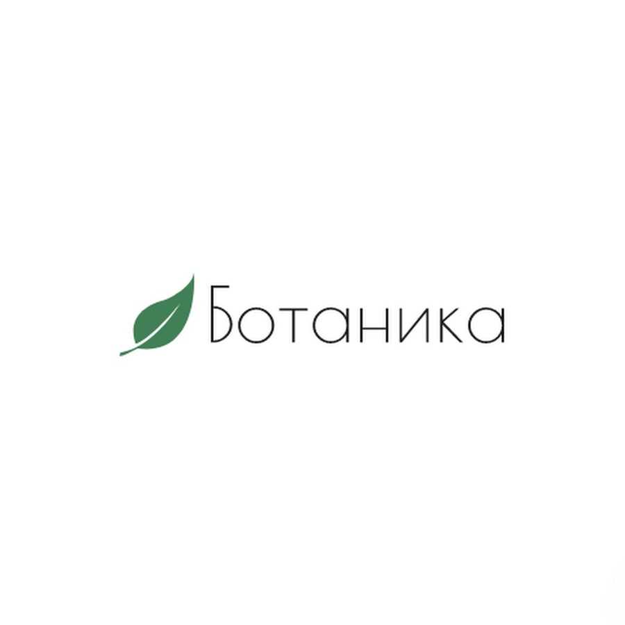 Выращивание рассады в квартире - чем способен удивить урожай 2019 года