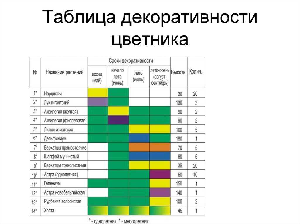 Используйте этот список чтобы ваш сад был в цвету с мая по октябрь