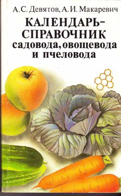 Конспект экологического занятия «вершки и корешки» (2 фото). воспитателям детских садов, школьным учителям и педагогам - маам.ру