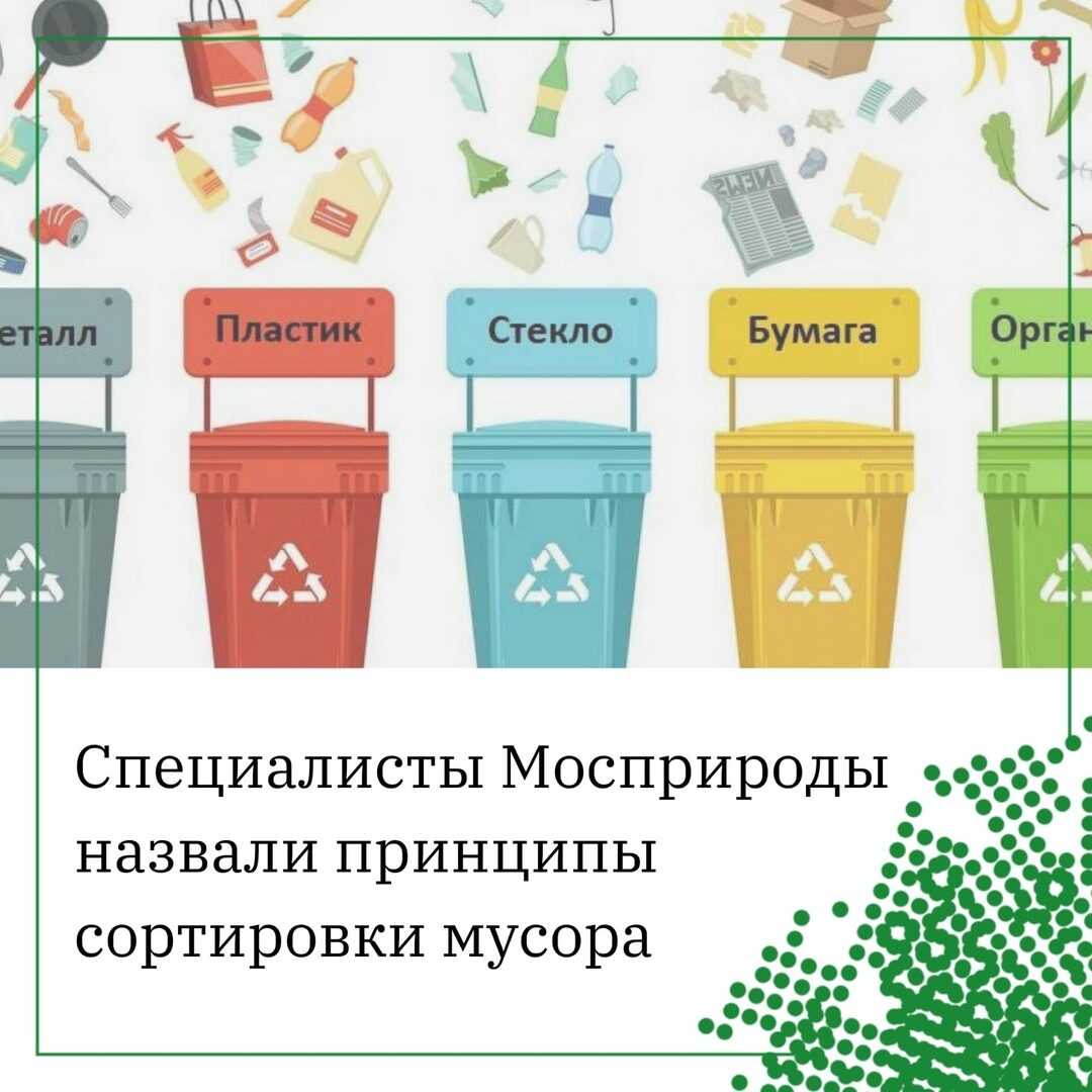 Зожник |   10 эко-привычек. как сделать мир лучше, начав с себя