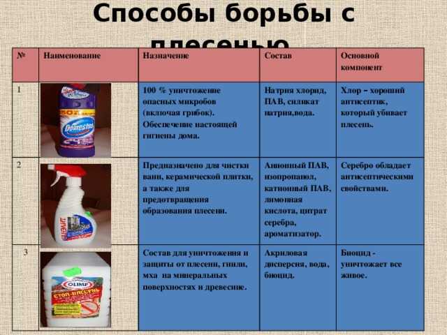Как удалить черную плесень в ванной комнате и вывести ее навсегда?